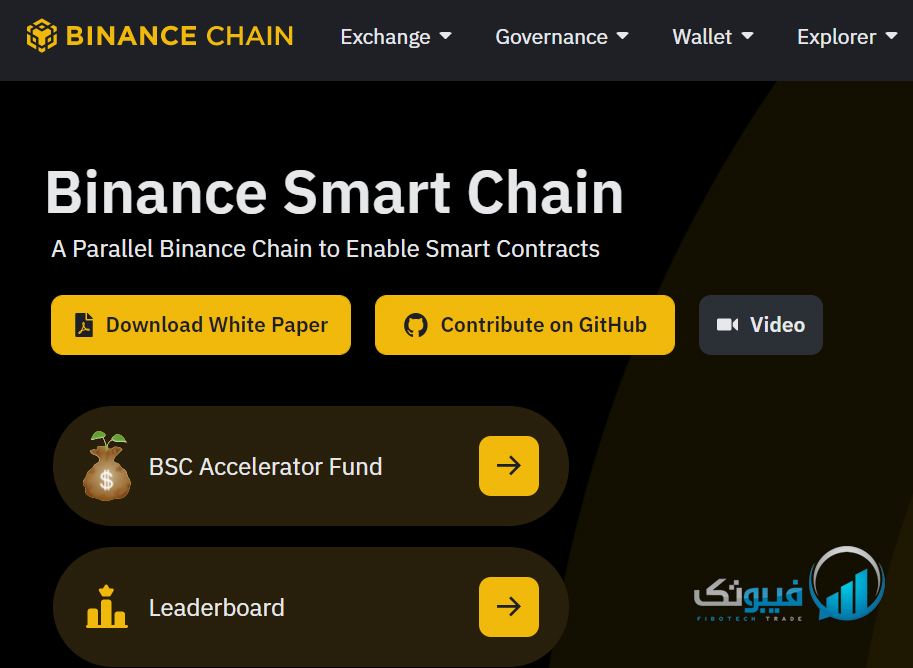  Binance Smart Chain