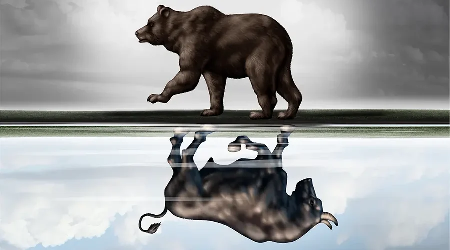 bear markrt